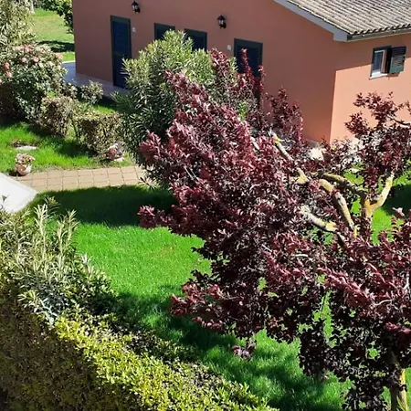 Farm stay Agrifoglio Capalbio